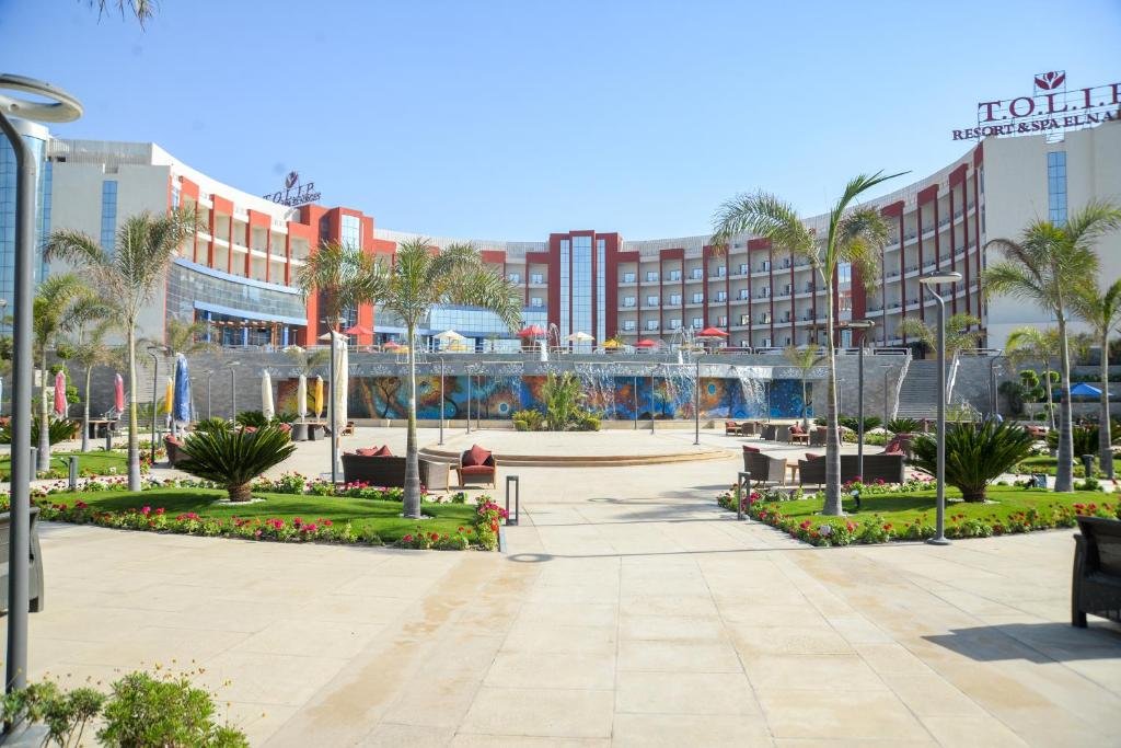 توليب النرجس
